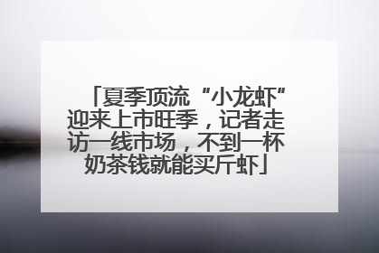 夏季顶流“小龙虾”迎来上市旺季，记者走访一线市场，不到一杯奶茶钱就能买斤虾
