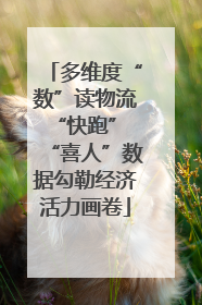 多维度“数”读物流“快跑” “喜人”数据勾勒经济活力画卷