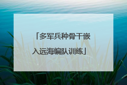 多军兵种骨干嵌入远海编队训练