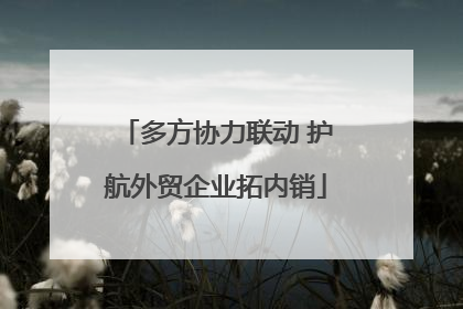 多方协力联动 护航外贸企业拓内销