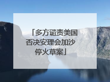 多方谴责美国否决安理会加沙停火草案