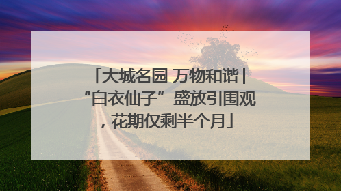 大城名园 万物和谐│“白衣仙子”盛放引围观，花期仅剩半个月