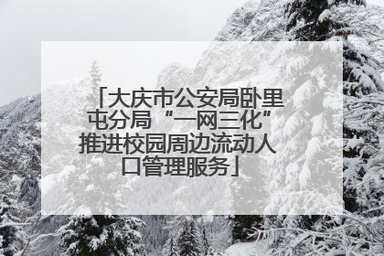 大庆市公安局卧里屯分局“一网三化”推进校园周边流动人口管理服务