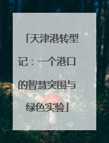天津港转型记：一个港口的智慧突围与绿色实验