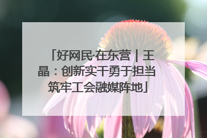 好网民·在东营｜王晶：创新实干勇于担当 筑牢工会融媒阵地