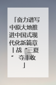 奋力谱写中原大地推进中国式现代化新篇章丨战“三夏” 夺丰收