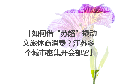 如何借“苏超”撬动文旅体商消费？江苏多个城市密集开会部署
