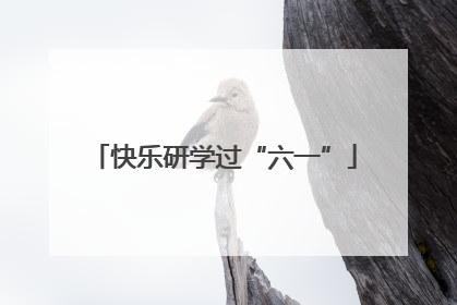 快乐研学过“六一”