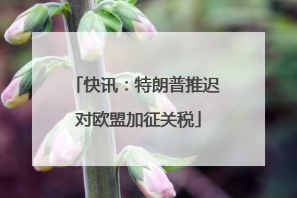 快讯：特朗普推迟对欧盟加征关税