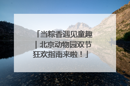 当粽香遇见童趣｜北京动物园双节狂欢指南来啦！