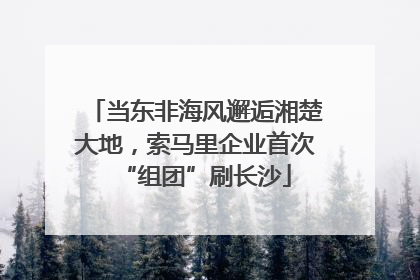 当东非海风邂逅湘楚大地，索马里企业首次“组团”刷长沙