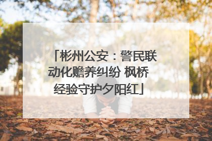 彬州公安：警民联动化赡养纠纷 枫桥经验守护夕阳红