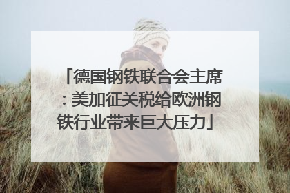 德国钢铁联合会主席：美加征关税给欧洲钢铁行业带来巨大压力