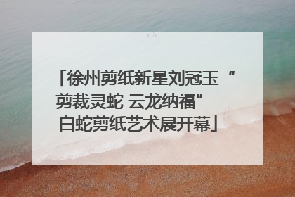 徐州剪纸新星刘冠玉“剪裁灵蛇 云龙纳福” 白蛇剪纸艺术展开幕
