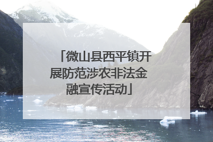 微山县西平镇开展防范涉农非法金融宣传活动