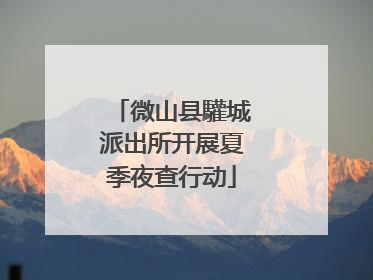微山县驩城派出所开展夏季夜查行动