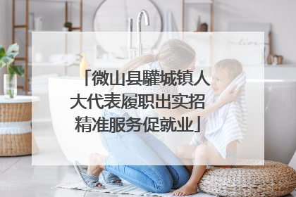 微山县驩城镇人大代表履职出实招精准服务促就业