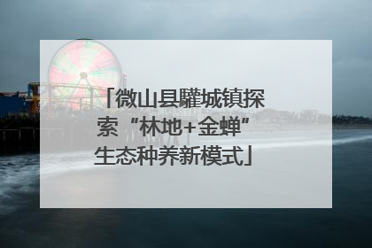 微山县驩城镇探索“林地+金蝉”生态种养新模式