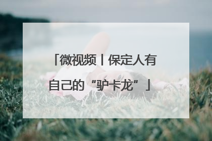 微视频丨保定人有自己的“驴卡龙”