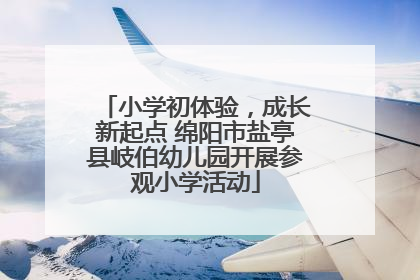 小学初体验，成长新起点 绵阳市盐亭县岐伯幼儿园开展参观小学活动