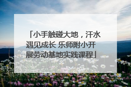 小手触碰大地，汗水遇见成长 乐师附小开展劳动基地实践课程