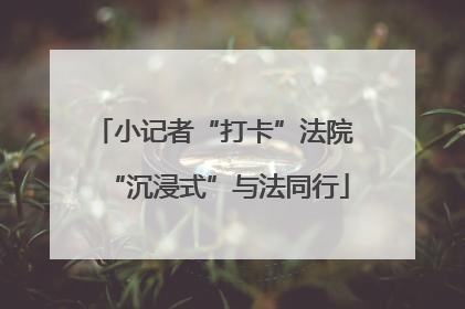小记者“打卡”法院 “沉浸式”与法同行
