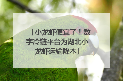 小龙虾便宜了！数字冷链平台为湖北小龙虾运输降本