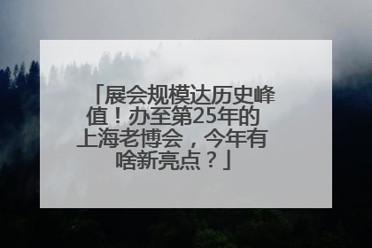 展会规模达历史峰值！办至第25年的上海老博会，今年有啥新亮点？