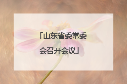 山东省委常委会召开会议