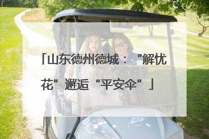 山东德州德城：“解忧花”邂逅“平安伞”