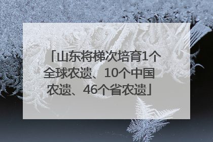 山东将梯次培育1个全球农遗、10个中国农遗、46个省农遗
