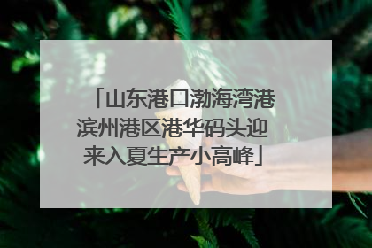 山东港口渤海湾港滨州港区港华码头迎来入夏生产小高峰