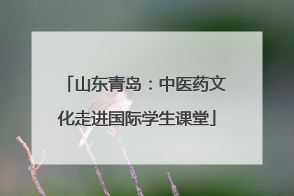 山东青岛：中医药文化走进国际学生课堂