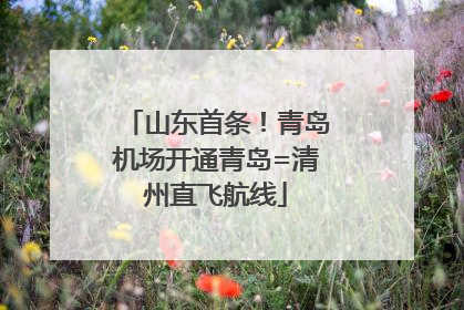 山东首条！青岛机场开通青岛=清州直飞航线