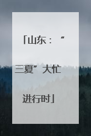 山东：“三夏”大忙进行时