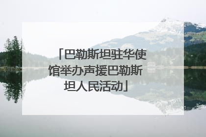 巴勒斯坦驻华使馆举办声援巴勒斯坦人民活动