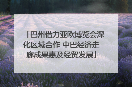 巴州借力亚欧博览会深化区域合作 中巴经济走廊成果惠及经贸发展