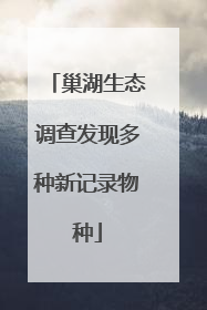 巢湖生态调查发现多种新记录物种