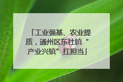 工业强基、农业提质，通州区东社镇“产业兴镇”扛担当