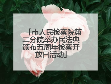 市人民检察院第二分院举办民法典颁布五周年检察开放日活动
