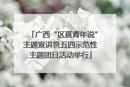 广西“区直青年说”主题宣讲暨五四示范性主题团日活动举行
