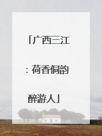 广西三江：荷香侗韵醉游人