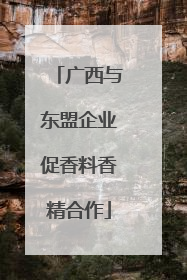 广西与东盟企业促香料香精合作