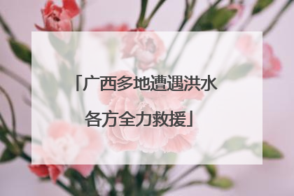 广西多地遭遇洪水 各方全力救援