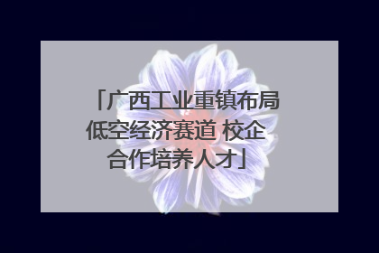 广西工业重镇布局低空经济赛道 校企合作培养人才