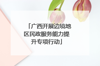 广西开展边境地区民政服务能力提升专项行动