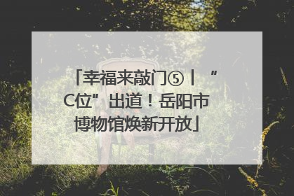 幸福来敲门⑤丨“C位”出道！岳阳市博物馆焕新开放