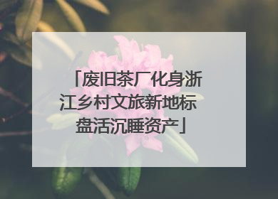 废旧茶厂化身浙江乡村文旅新地标 盘活沉睡资产
