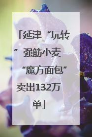 延津“玩转”强筋小麦 “魔方面包”卖出132万单