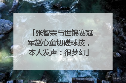 张智霖与世锦赛冠军赵心童切磋球技，本人发声：很梦幻